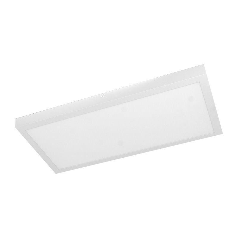 Panel LED 2w1 595x295x38 24 W 4000K 1900 lm IP20 biały Eco Light EC20120